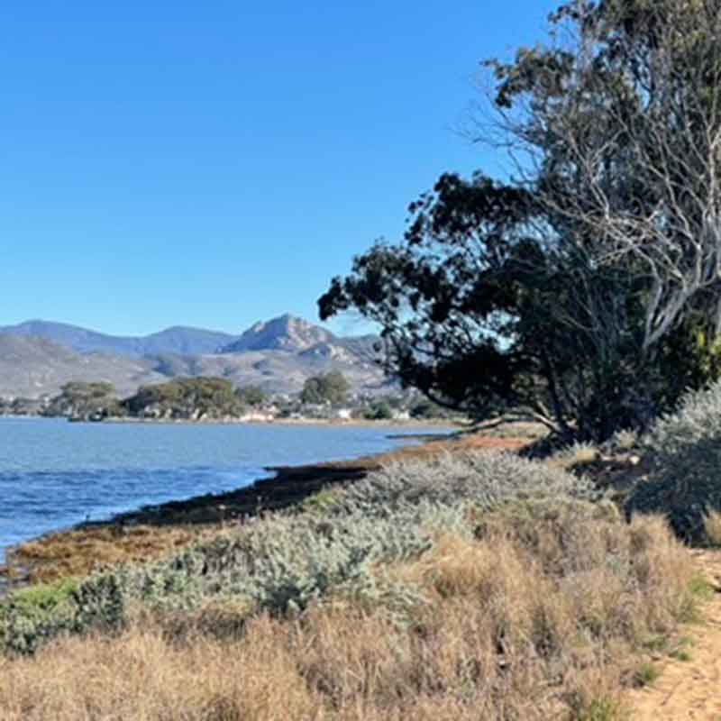 Los-Osos-Bay